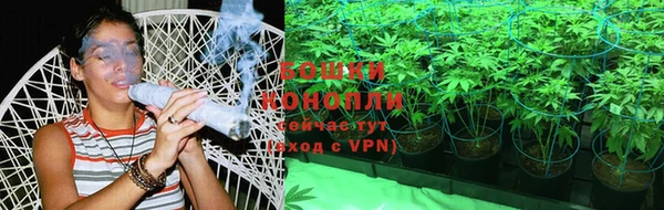 PSILOCYBIN Балахна